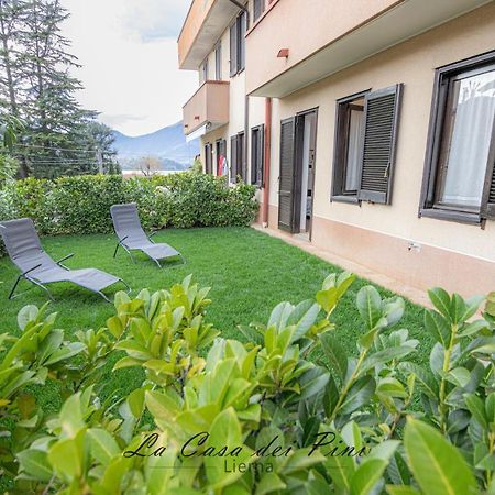 La Casa Dei Pini Lägenhet Lierna Exteriör bild
